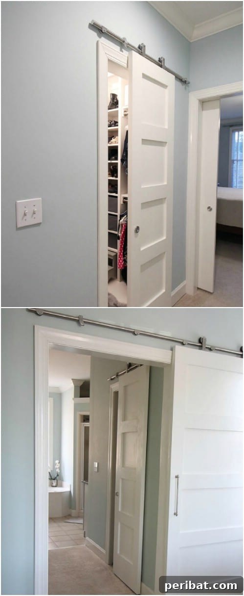 Elevate Your Home: 60 DIY Barn Door Projects for Farmhouse Style 15 Go with a more contemporary vibe.