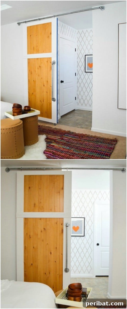 Elevate Your Home: 60 DIY Barn Door Projects for Farmhouse Style 16 Another Project With a Contemporary Look