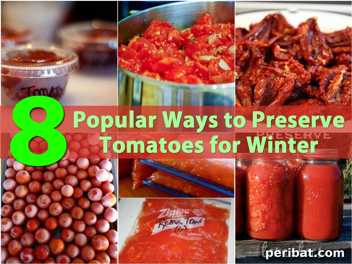 Preserving Tomatoes: Your Essential Guide to Canning, Freezing, and More