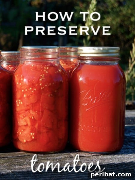 Canning Tomatoes the Old-Fashioned Way - Top 8 Most Popular Ways to Preserve Tomatoes for Winter 