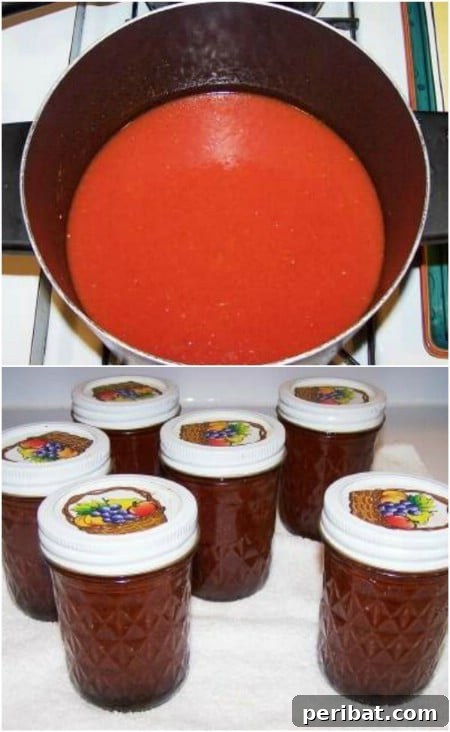 Make Your Own Ketchup - Top 8 Most Popular Ways to Preserve Tomatoes for Winter 