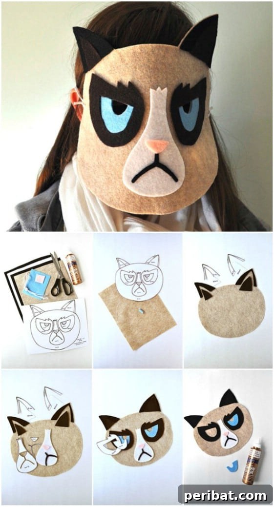Grumpy Cat Mask