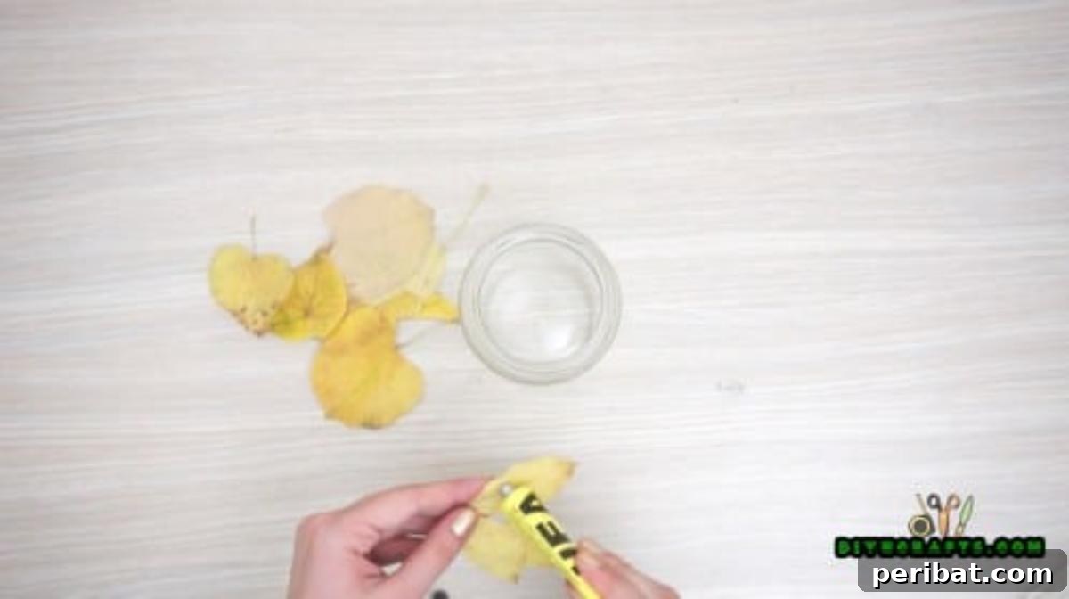 Minutes to Marvelous: 5 Easy Fall DIY Decor Projects 13 Beginning the autumn leaf jar project with a clear glass jar and a selection of colorful, dried autumn leaves.
