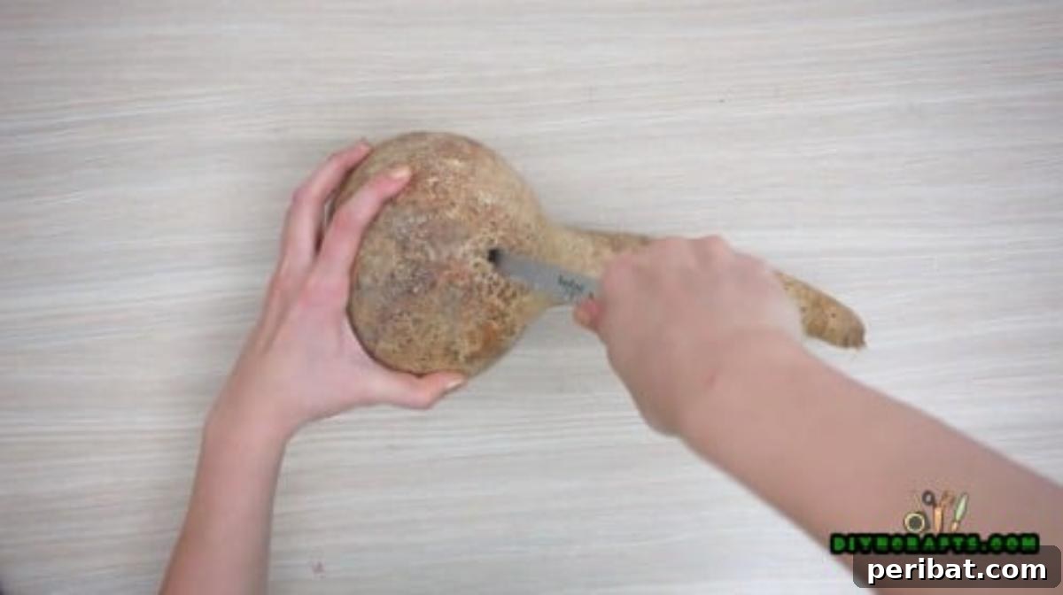 Minutes to Marvelous: 5 Easy Fall DIY Decor Projects 24 Close-up of the initial cut being made into the gourd, showing the process of creating the opening for the floral arrangement.