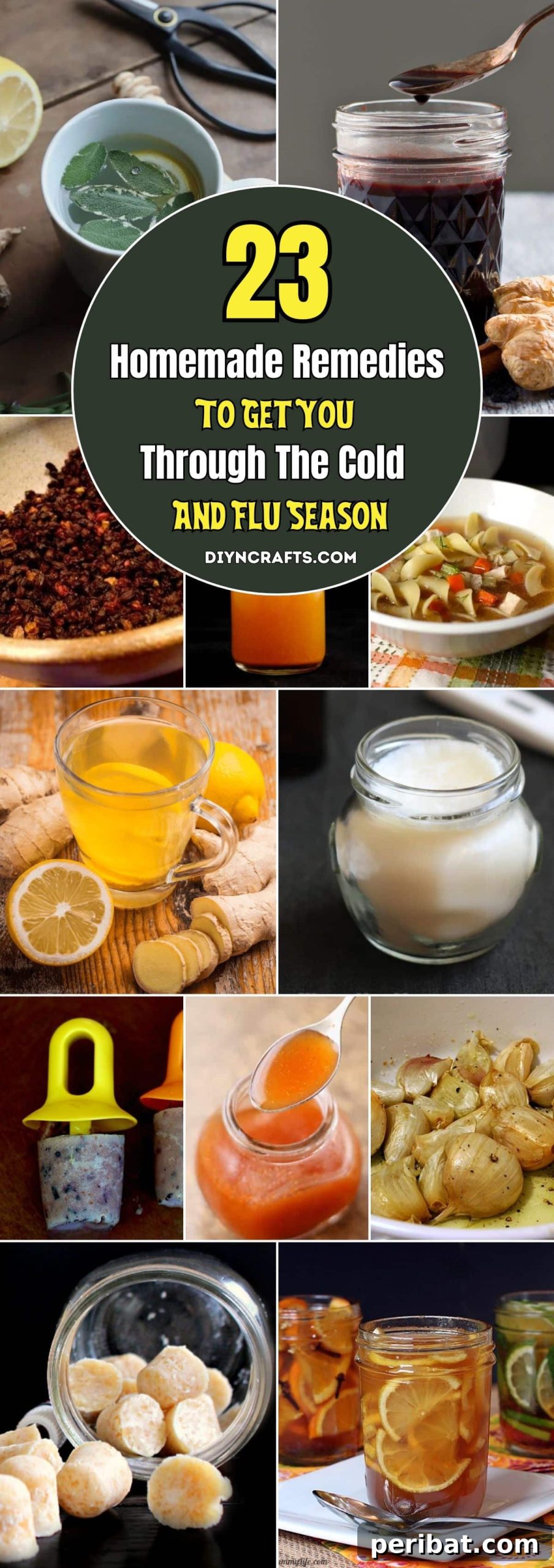 Conquer Cold & Flu Season Your Guide to Homemade Remedies 2 23 Homemade Remedies To Get You Through The Cold And Flu Season pinterest image