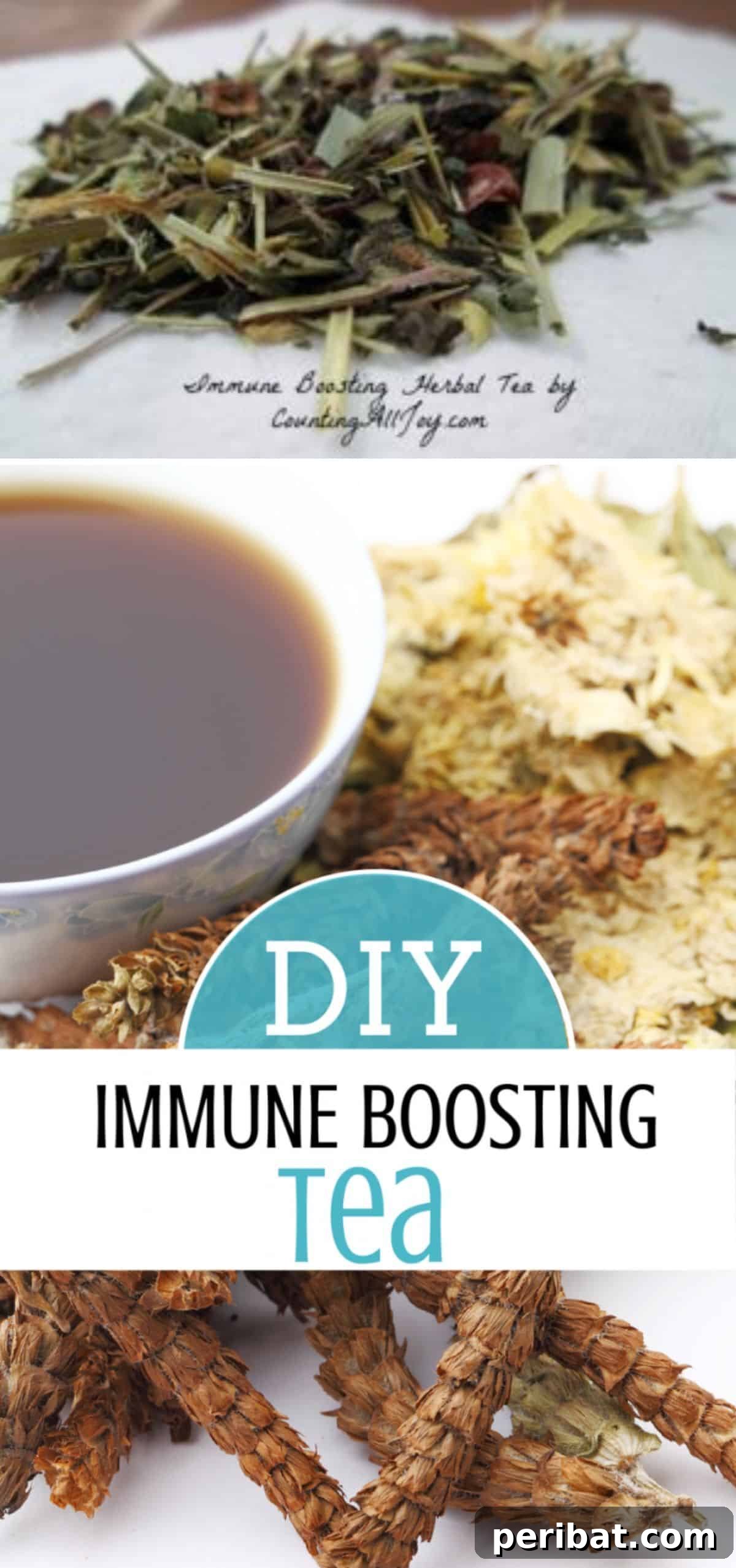 Conquer Cold & Flu Season Your Guide to Homemade Remedies 19 Immune Boosting Tea