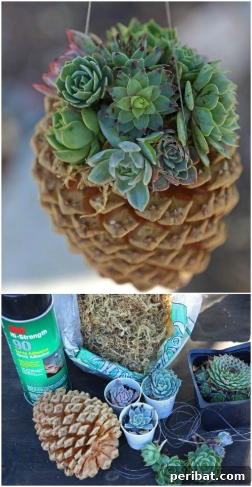 DIY Pinecone Succulent Planters