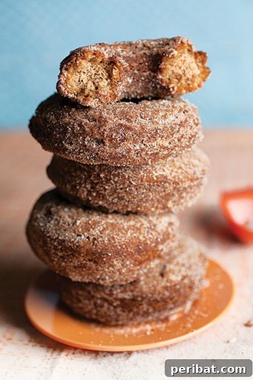 New England Style Cinnamon Sugar Doughnuts