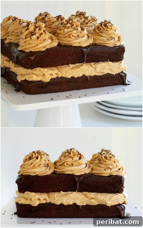 Chocolate Pumpkin Cake