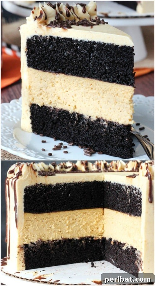 Chocolate Pumpkin Cheesecake