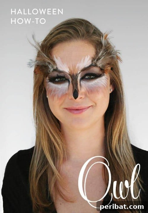 Easy DIY Owl Animal Halloween Makeup