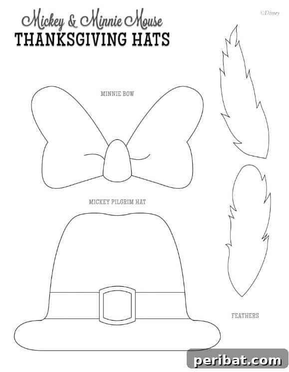 Mickey Mouse Placemats