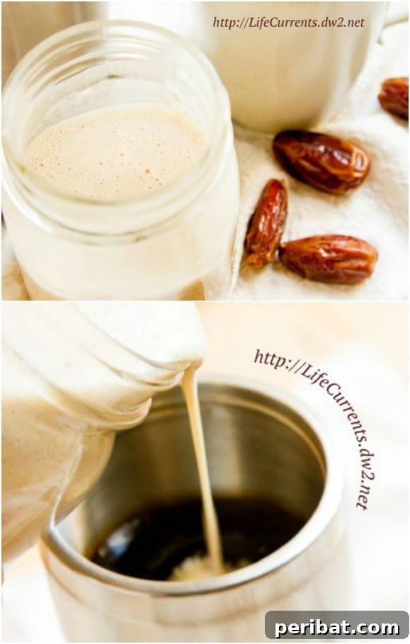 Homemade Coconut Milk Creamer