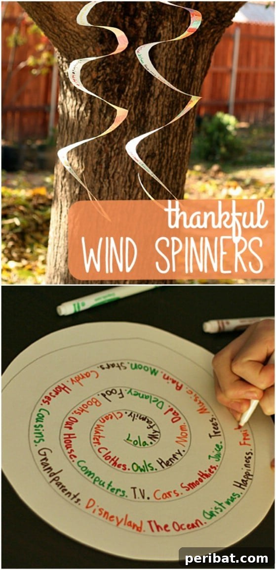 Thankful Wind Spinners