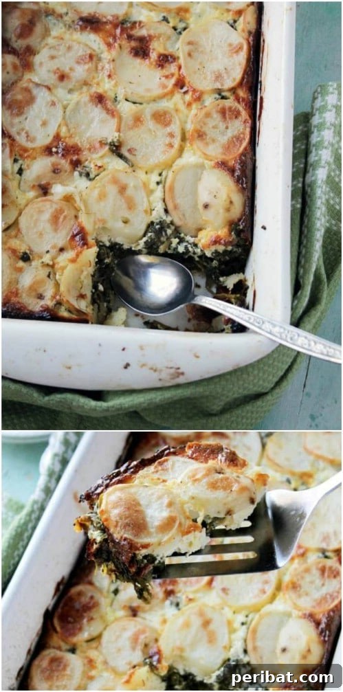Spinach Feta Potato Gratin