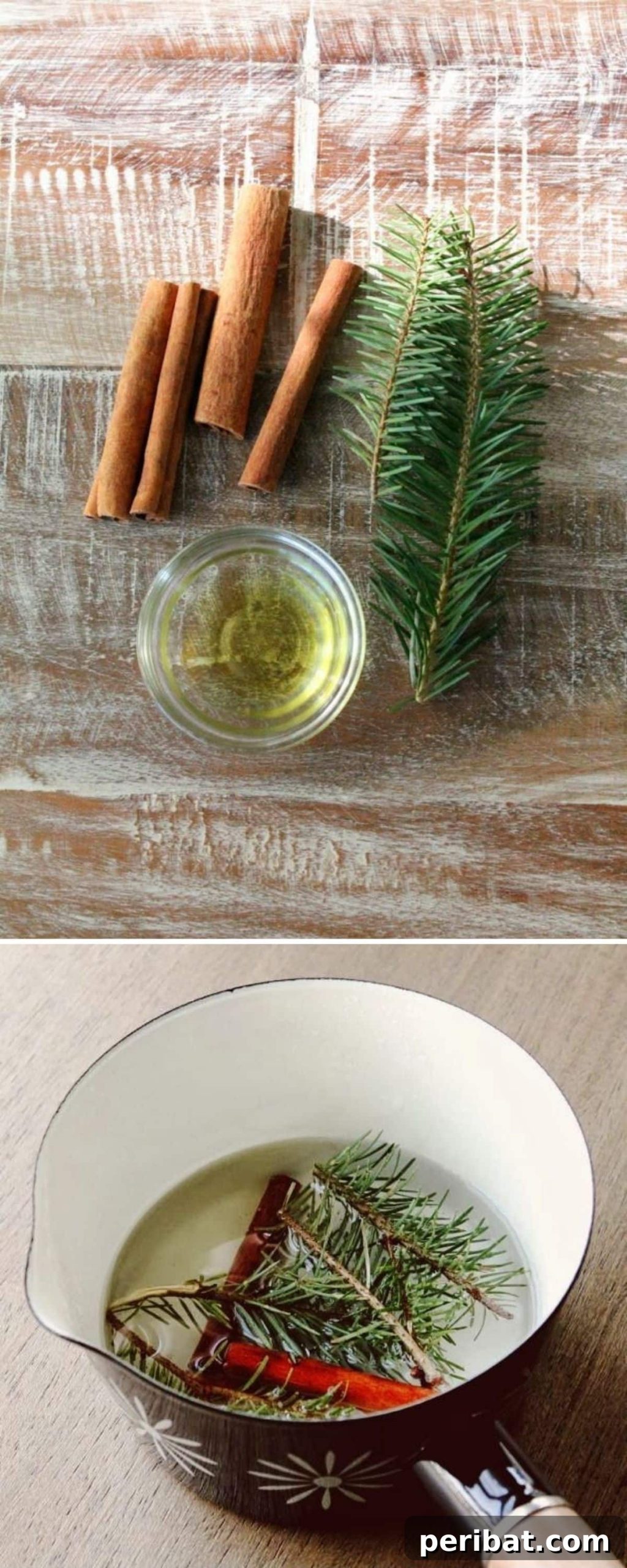 Homemade Cinnamon And Pine Simmering Potpourri