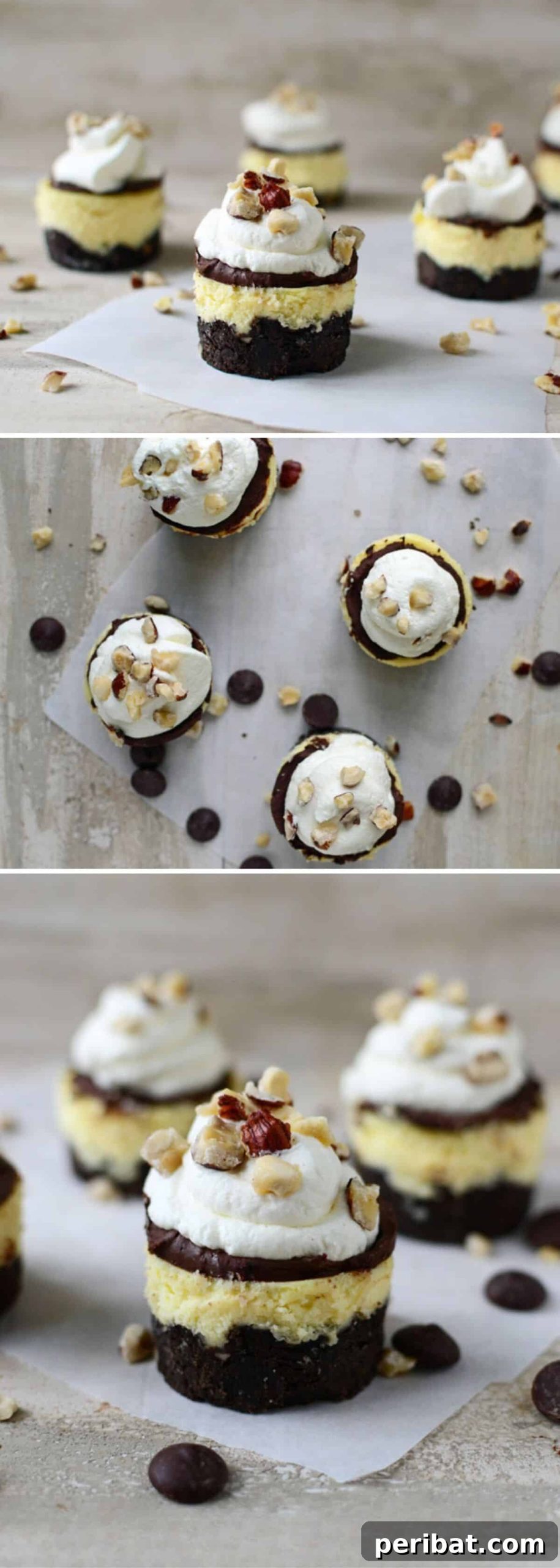 Eggnog And Hazelnut Cheesecake