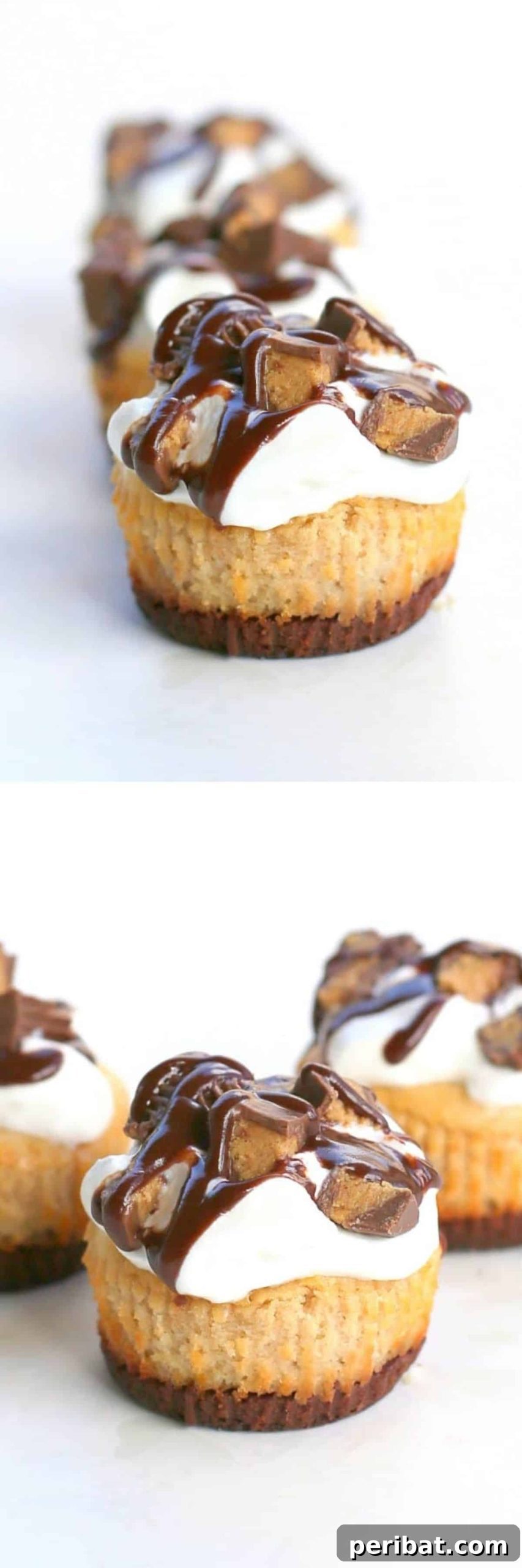 Reese’s Peanut Butter Cheesecake