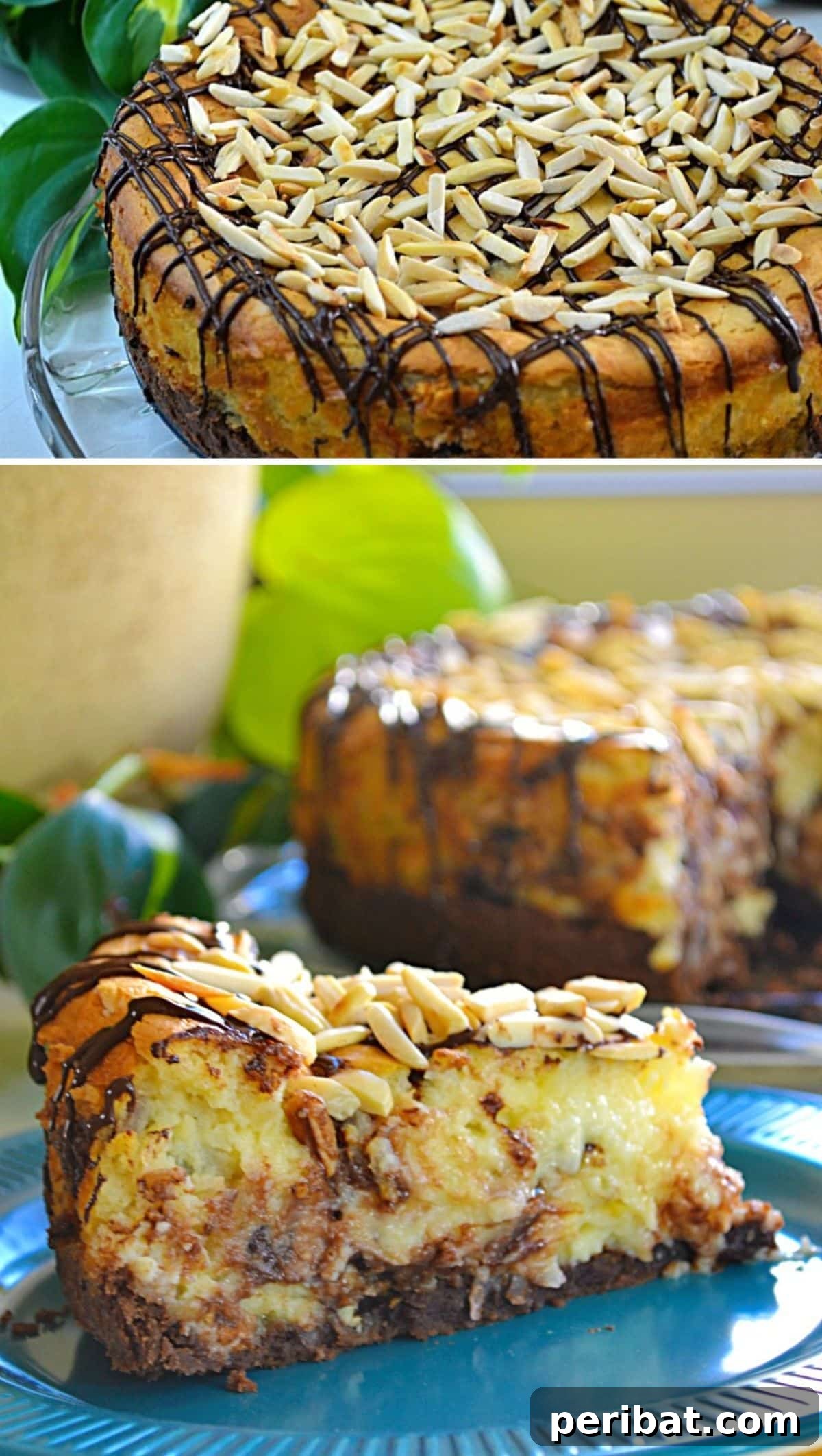 DIY Almond Joy Cheesecake