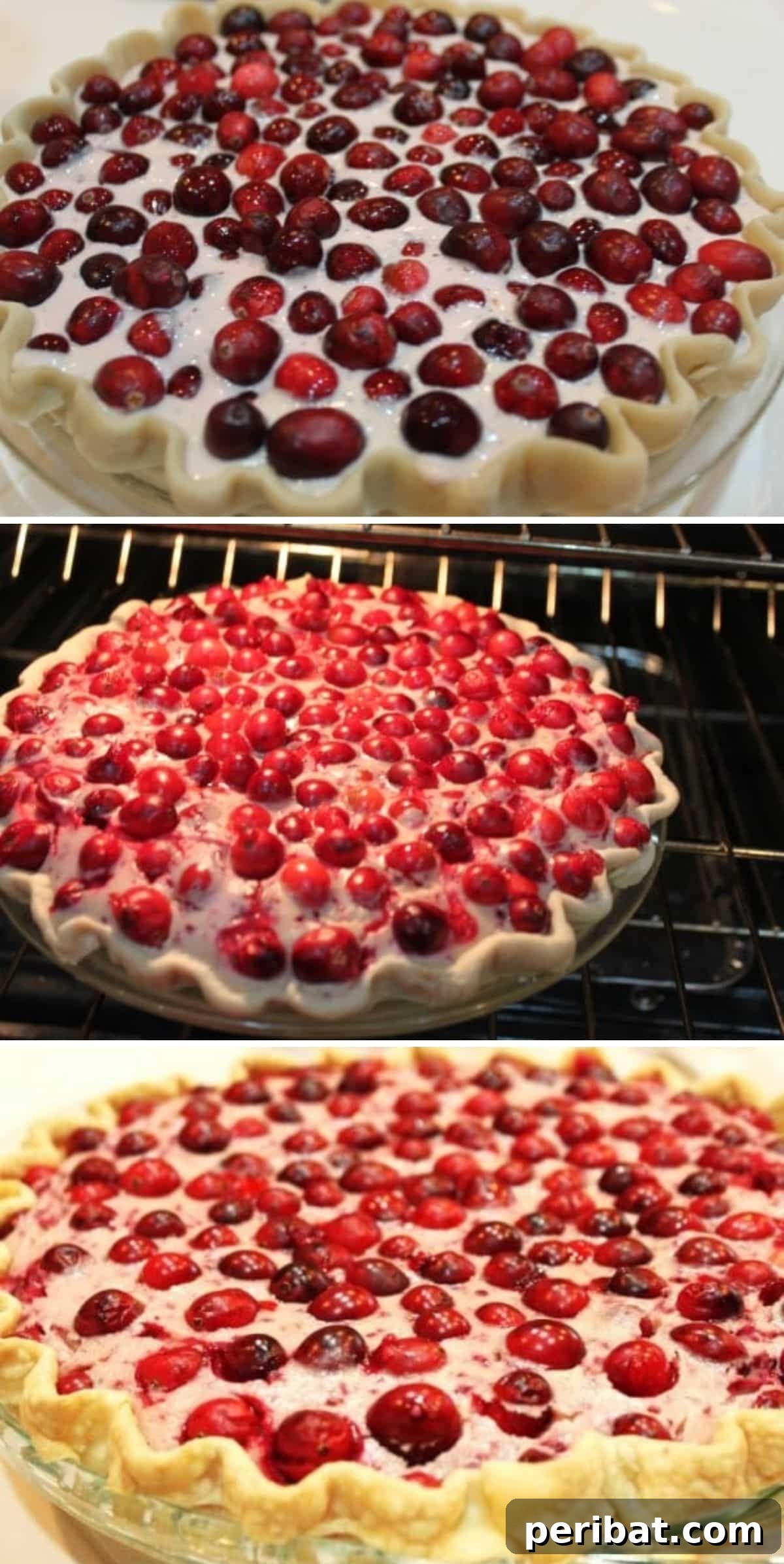 Luscious DIY Cranberry Cheesecake