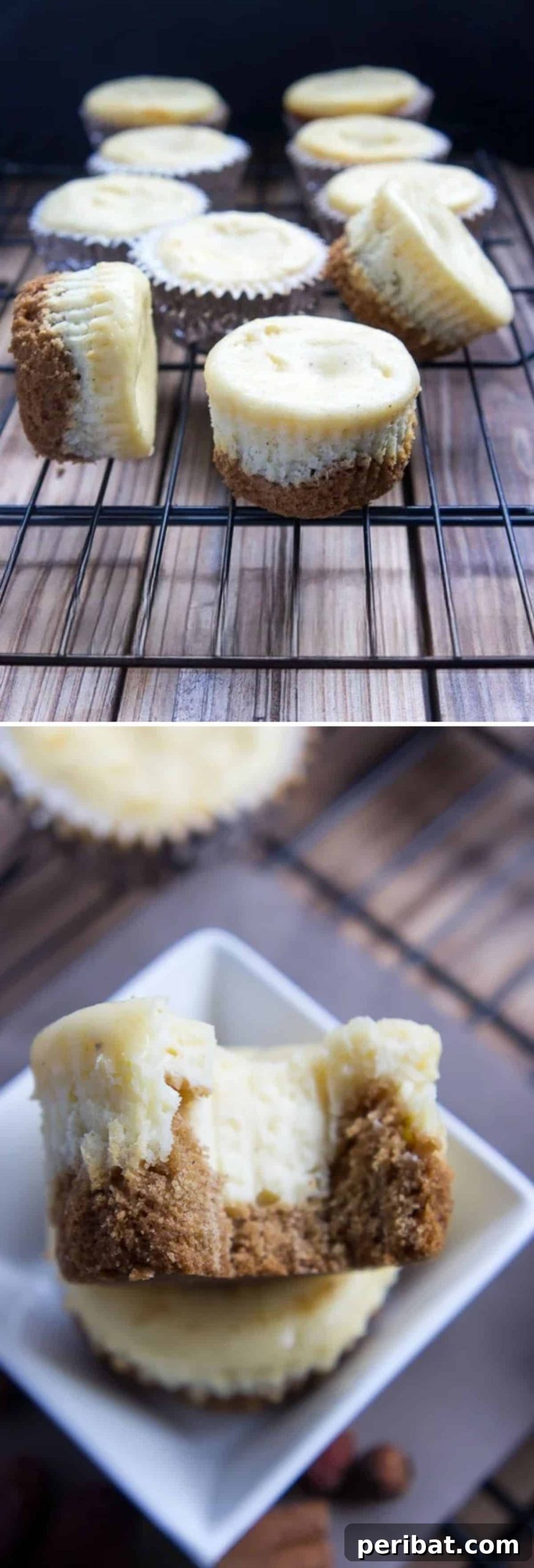 Eggnog And Gingerbread Cheesecake