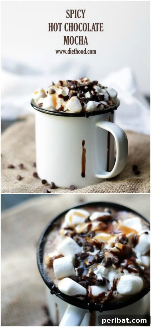 Spicy Mocha Hot Chocolate