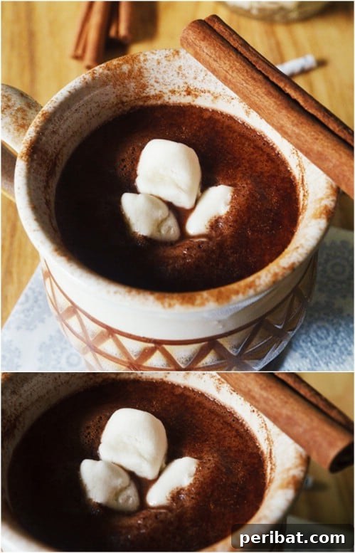 Cinnamon Hot Chocolate