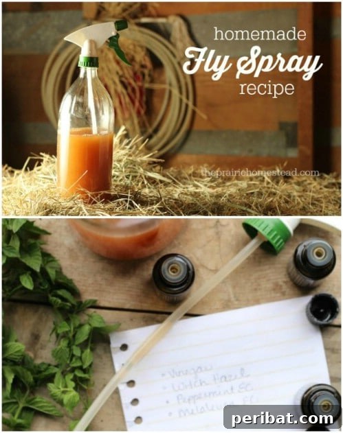 Non Toxic DIY Fly Spray with Rosemary, Peppermint, and Basil Essential Oils