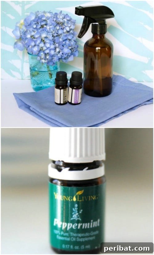 Natural DIY Ant Spray with Peppermint Essential Oil for Pest Control