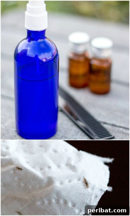 DIY Lice Repellent Spray with Essential Oils and Neem Oil