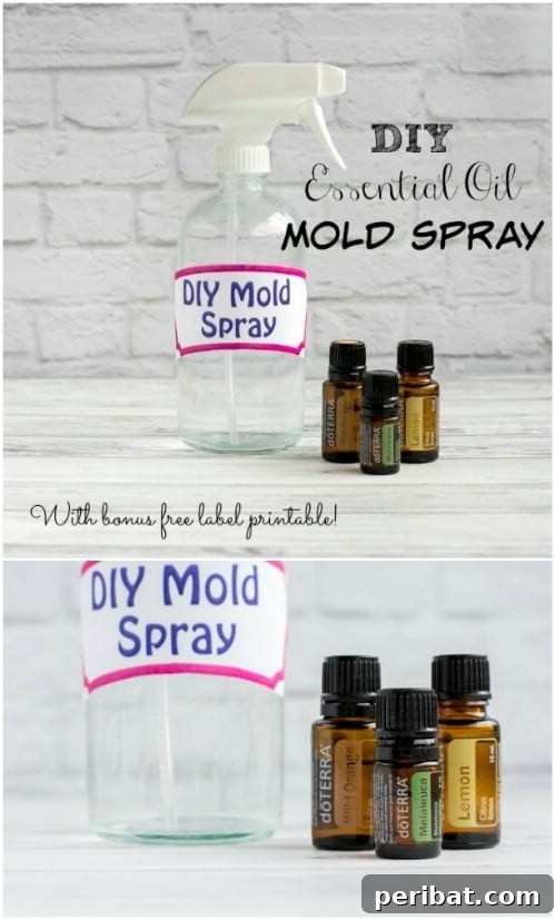 DIY Mold Spray with White Vinegar and Tea Tree Essential Oil
