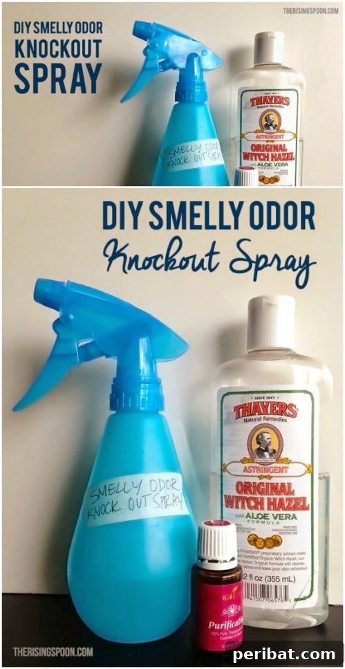 Smelly Kitchen Spray with Purification and Peppermint Essential Oils