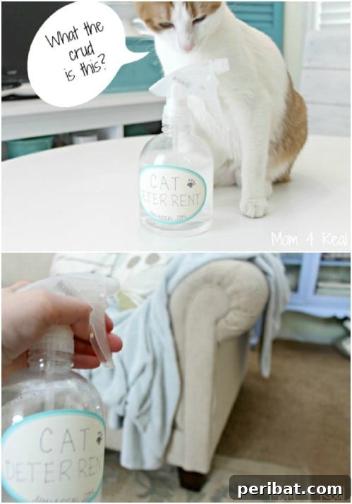 DIY Cat Deterrent Spray to Protect Furniture from Scratching