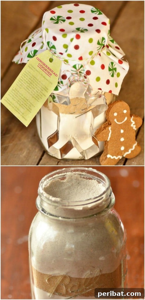 30 Festive Jar Gift Recipes: Handmade Holiday Delights 15 Yummy Gingerbread Cookies In A Jar