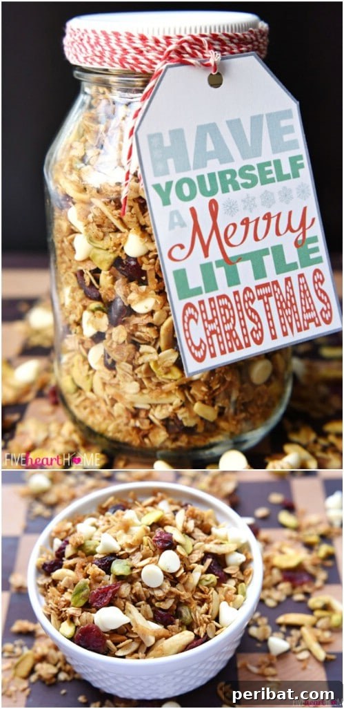30 Festive Jar Gift Recipes: Handmade Holiday Delights 16 Gingerbread Granola Jar Gift