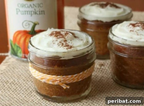 30 Festive Jar Gift Recipes: Handmade Holiday Delights 21 Pumpkin Cupcakes In A Jar