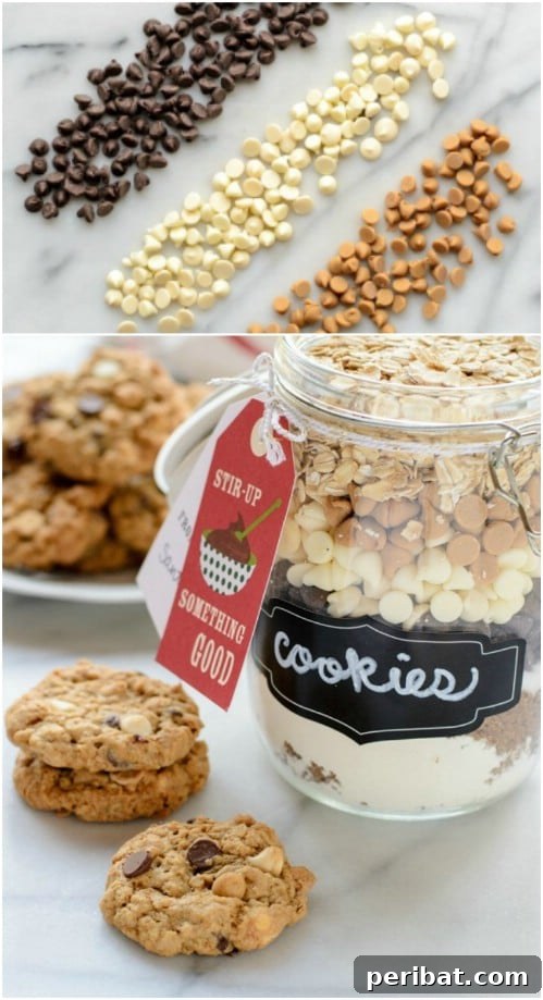30 Festive Jar Gift Recipes: Handmade Holiday Delights 28 Triple Chip Oatmeal Cookie In A Jar Mix
