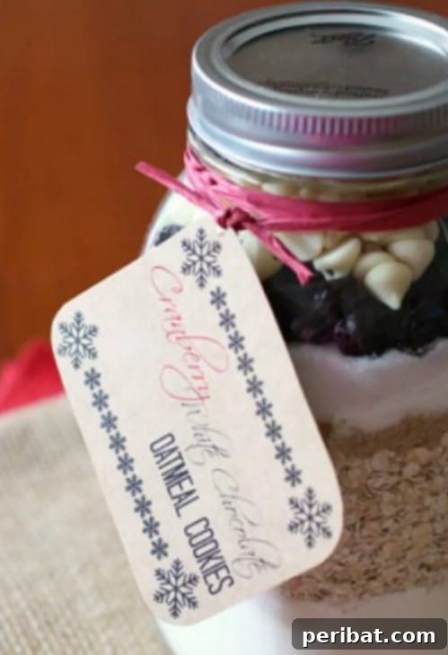 30 Festive Jar Gift Recipes: Handmade Holiday Delights 31 White Chocolate And Cranberry Cookies In A Jar