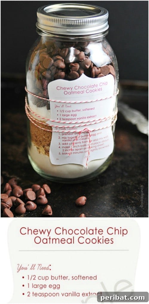 30 Festive Jar Gift Recipes: Handmade Holiday Delights 5 Chocolate Chip Cookies In A Jar