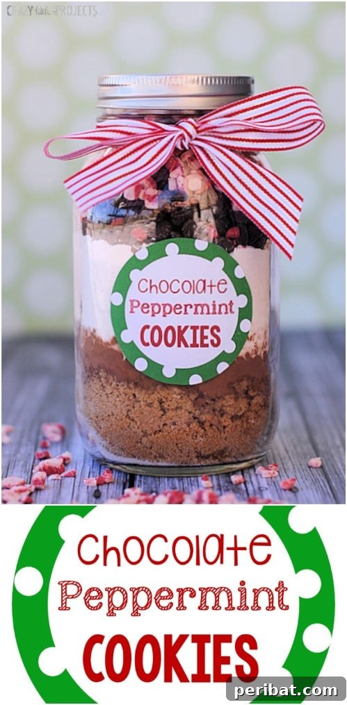 30 Festive Jar Gift Recipes: Handmade Holiday Delights 6 Chocolate Peppermint Cookies In A Jar
