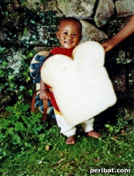 75 Effortless DIY Halloween Costumes That Kids Adore 71 A child in an adorable 'Sandwich' costume for Halloween, crafted from thick foam, felt, fabric, and glue, a unique no-sew DIY idea