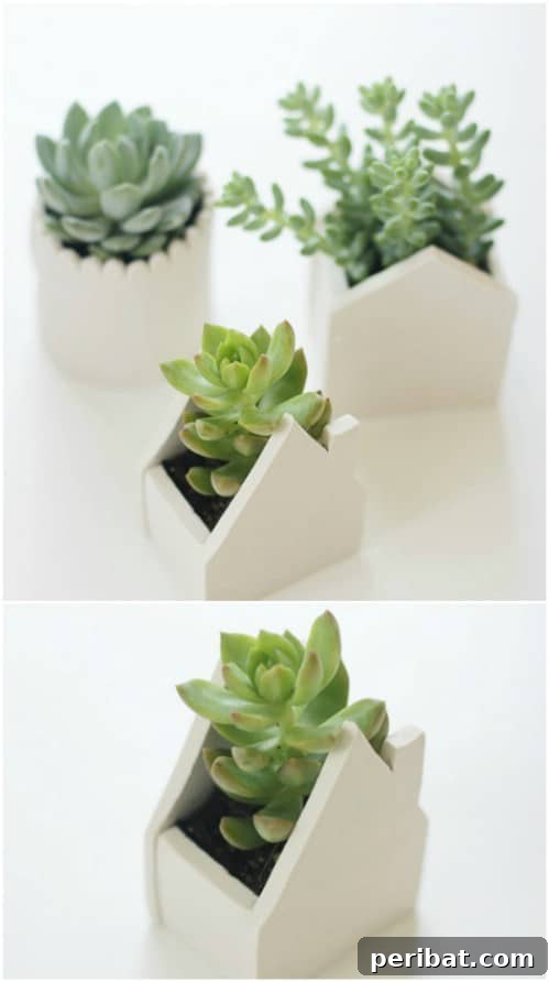 Handmade Clay Pots