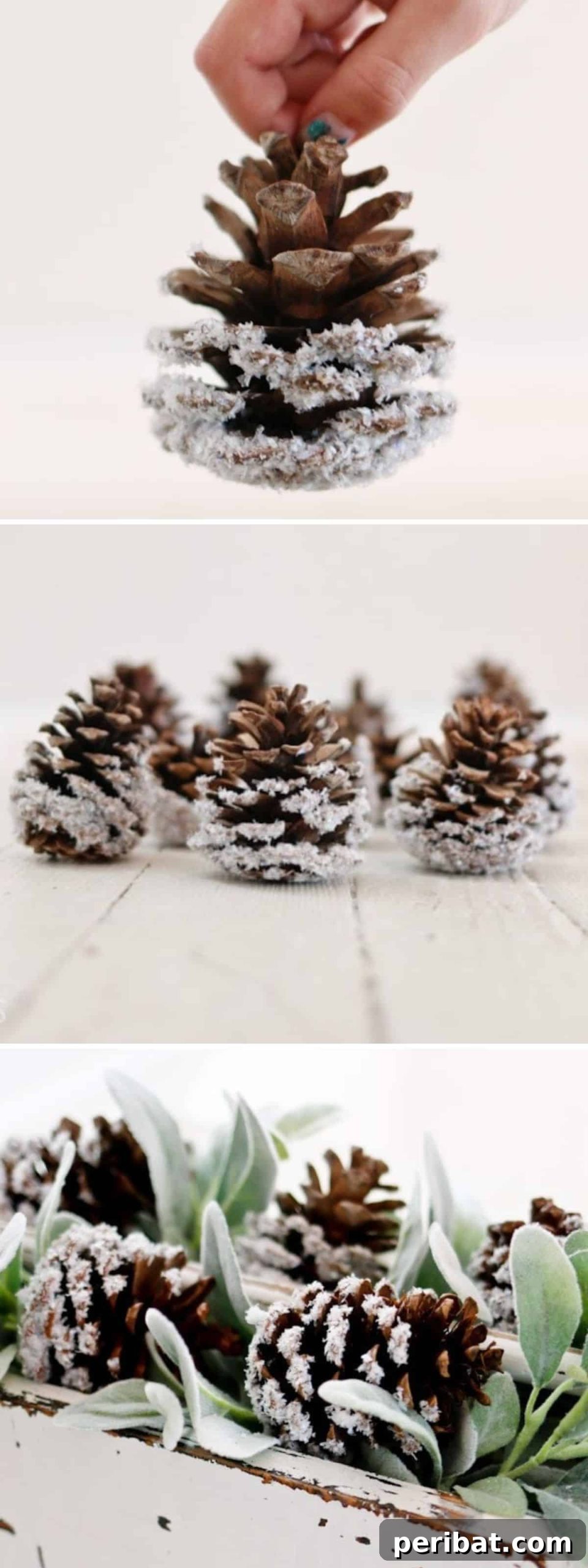 Frosty & Frugal: 20 DIY Decor Ideas for Your Winter Wedding 9 Snow Covered Pinecones