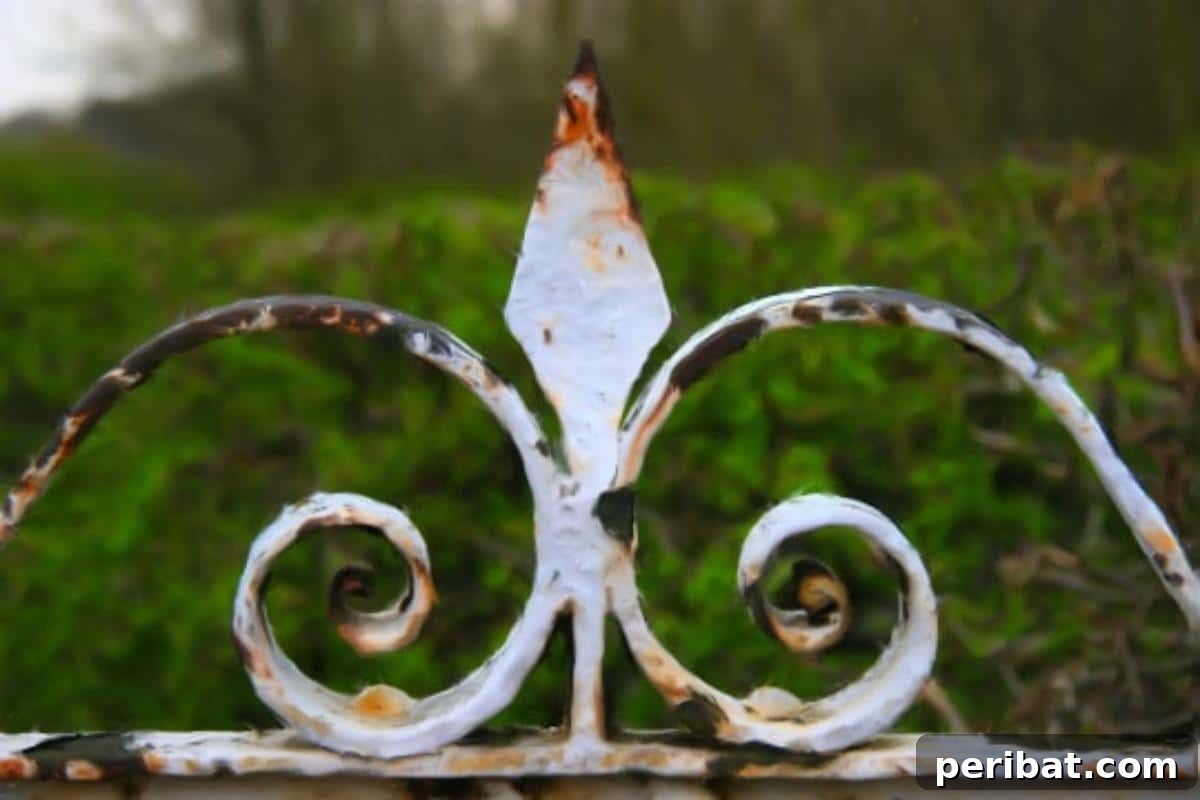 10 Genius Borax Hacks for a Smarter Home 4 A top of a rusted metal fence.