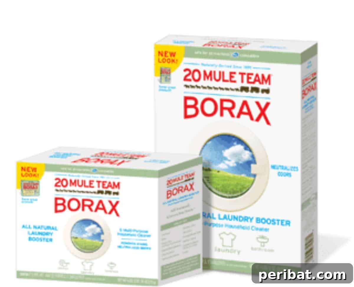 10 Genius Borax Hacks for a Smarter Home 6 Two borax packages.