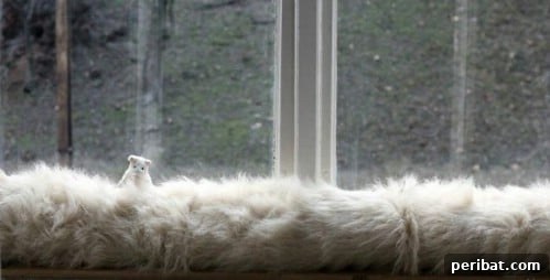 17 Ingenious DIY Draft Stoppers To Beat The Winter Chill 11 No Sew DIY Faux Fur Draft Blocker