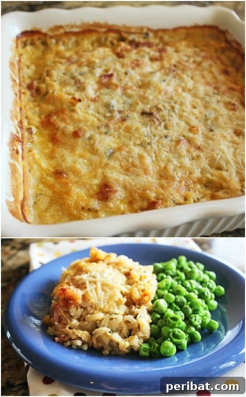 Ham, Chicken and Rice Casserole - Easy Family Freezer Meal