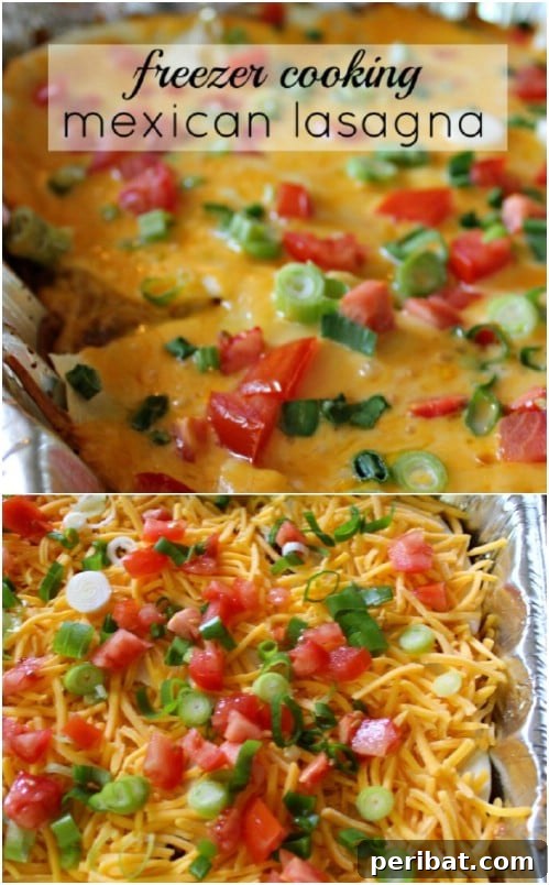 Easy Mexican Lasagna Casserole - Freezer Friendly Dinner