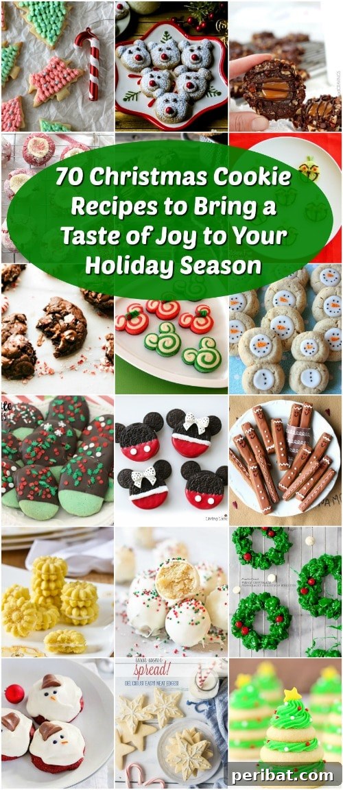 Holiday Cookie Bliss: Sweet Recipes for a Joyful Season 2 70 Christmas Cookie Recipes to Bring a Taste of Joy to Your Holiday Season