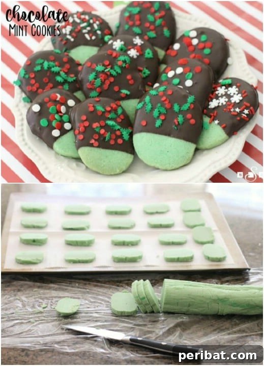 Holiday Cookie Bliss: Sweet Recipes for a Joyful Season 15 Homemade Chocolate Mint Christmas Cookies